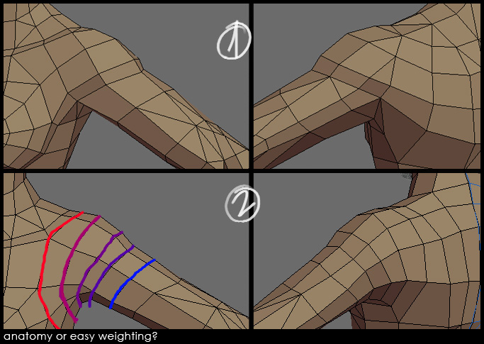 Two ways of 3D modeling shoulders